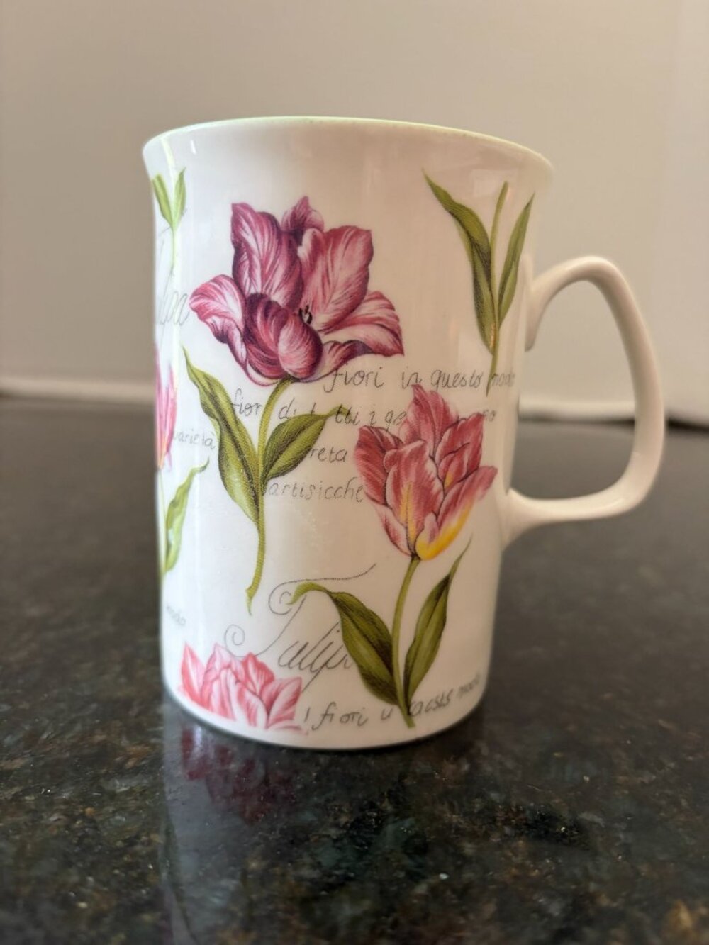 Rose of England Bone China 4"High Coffee Cup, Tulip Design
